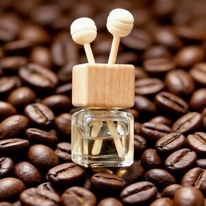 Vent Clip Diffuser for car- Grind & Shine